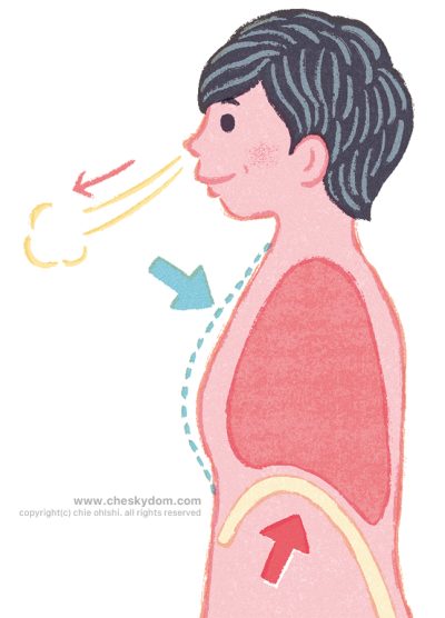 イラスト 女性 高齢者 呼吸 健康 肺 横隔膜