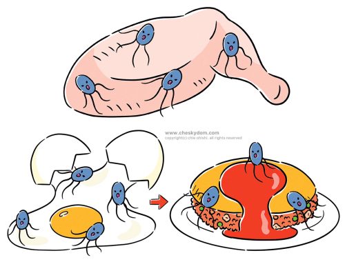 イラスト 食品 菌 衛生 管理 ウイルス
