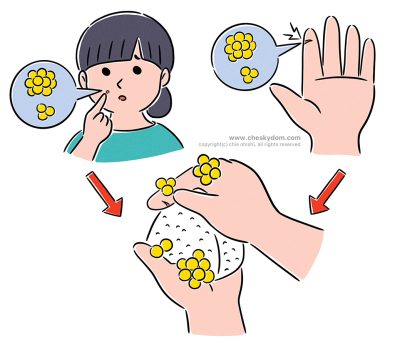 イラスト 衛生 管理 人物 調理 菌 黄色ブドウ球菌 手