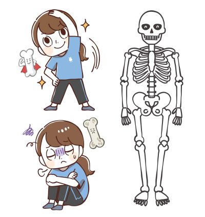 丈夫な骨と脆い骨