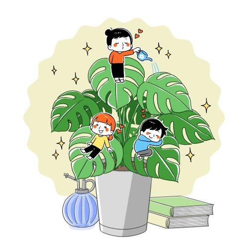 観葉植物、大好き、植物